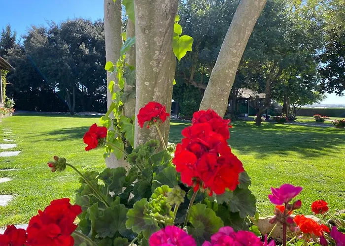 El Maestre Вілла *