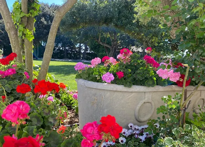 Вілла El Maestre