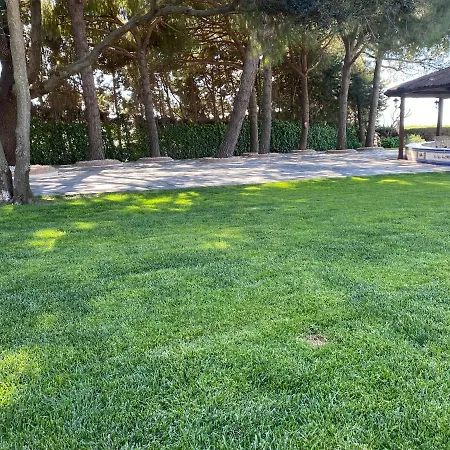 El Maestre فيلة *