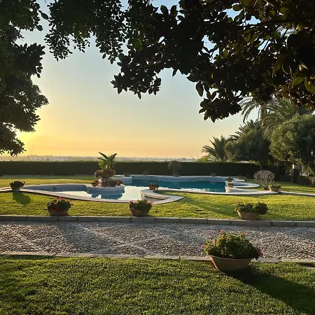 El Maestre فيلة *