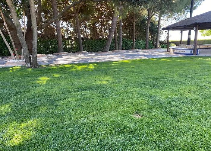 El Maestre فيلة *